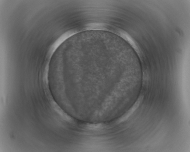 X0000113881386200910151303