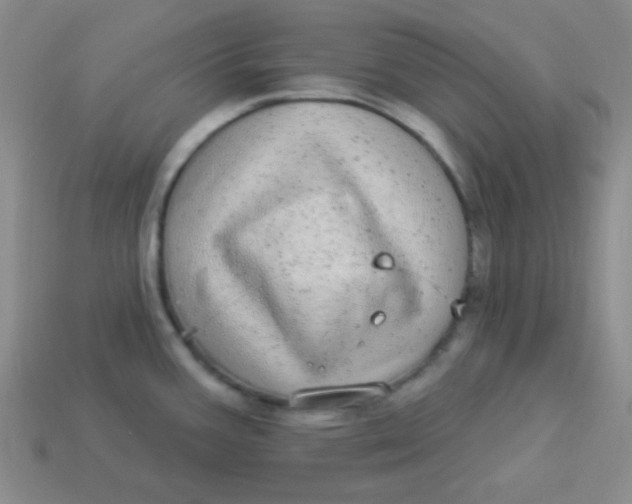 X0000113881387200910151303