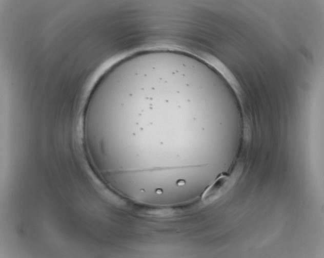 X0000113881388200910151303