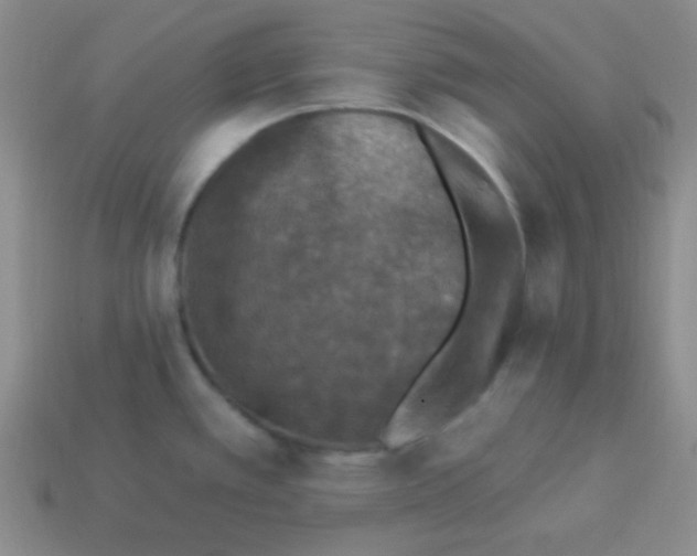 X0000113881389200910151303