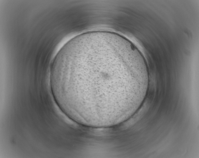 X0000113881390200910151303