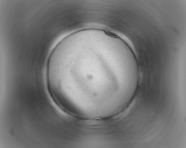 X0000113881391200910151303