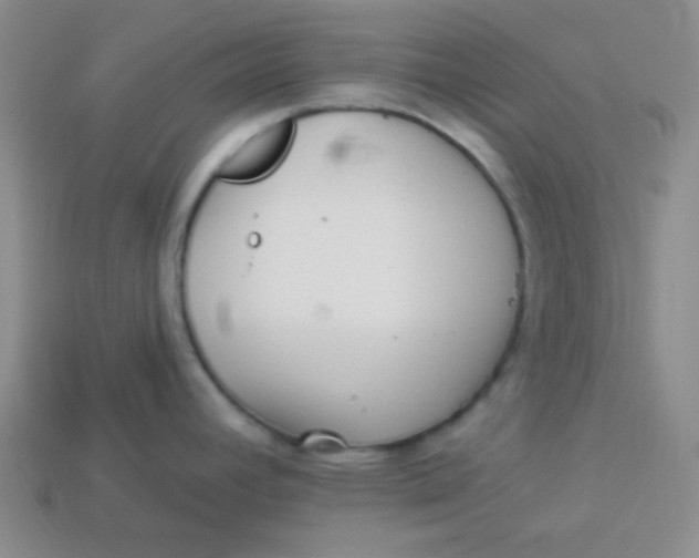 X0000113881392200910151303