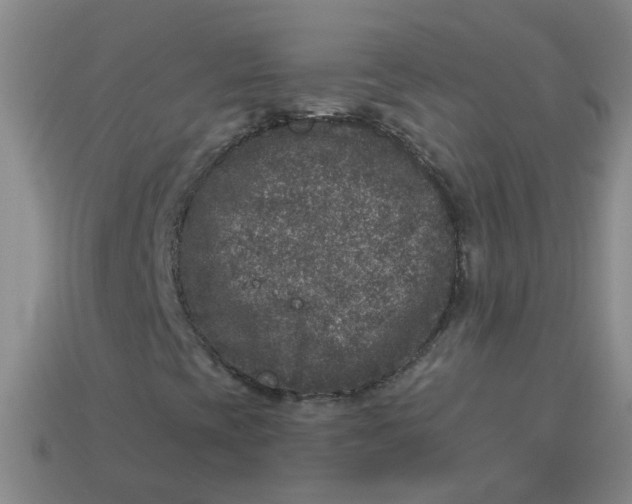 X0000113881393200910151302