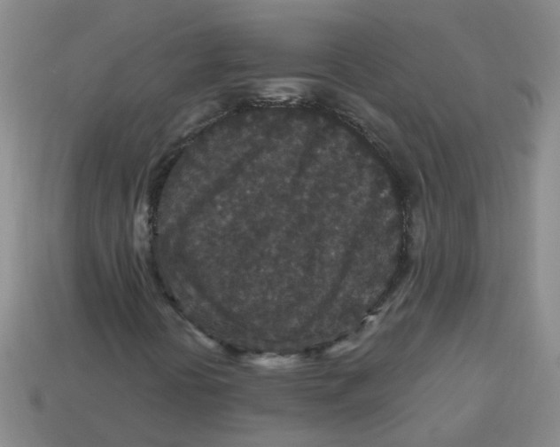 X0000113881394200910151302