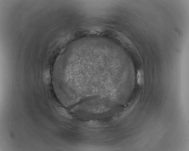 X0000113881395200910151303