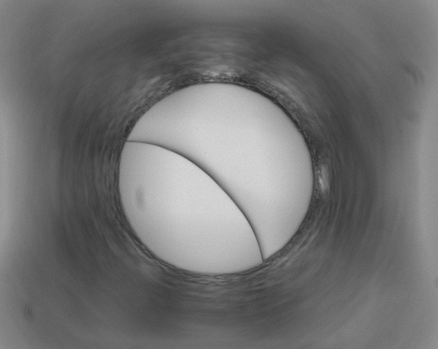 X0000113881396200910151303