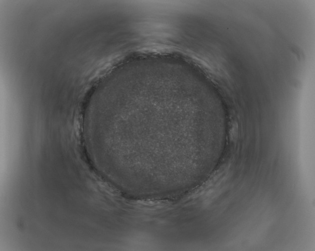 X0000113881397200910151303