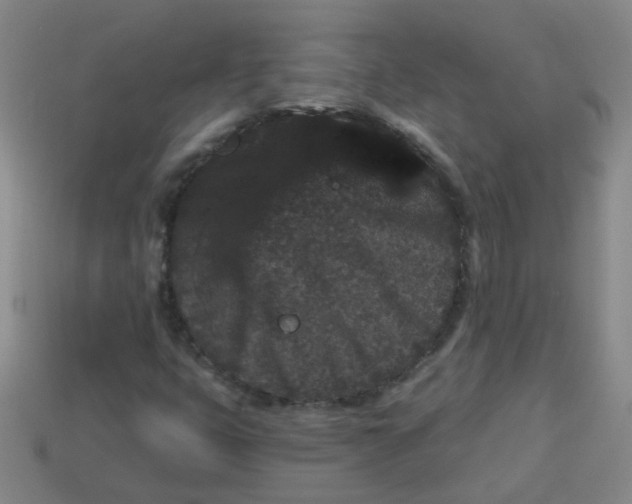 X0000113881399200910151303