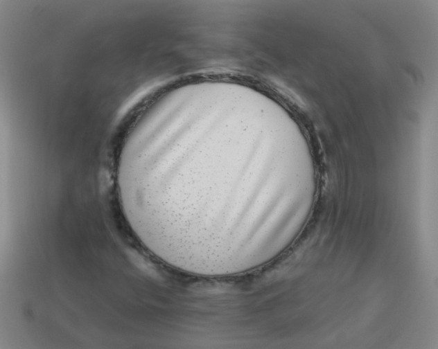 X0000113881400200910151303