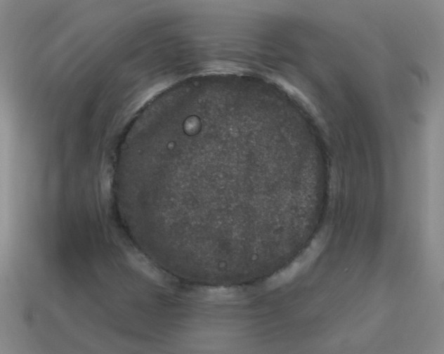 X0000113881401200910151303