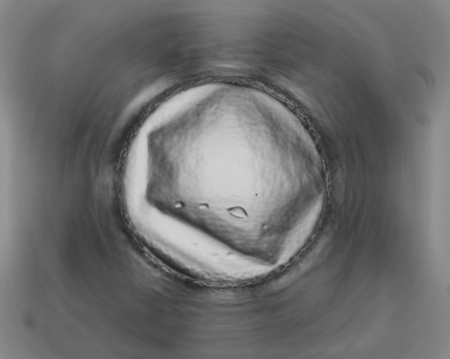 X0000113881402200910151303