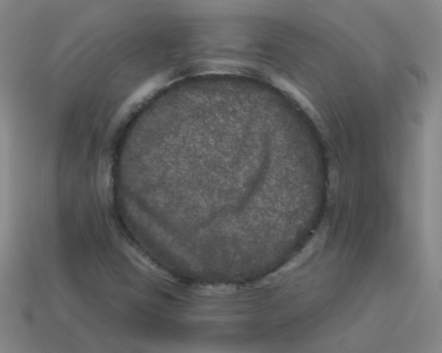 X0000113881403200910151303