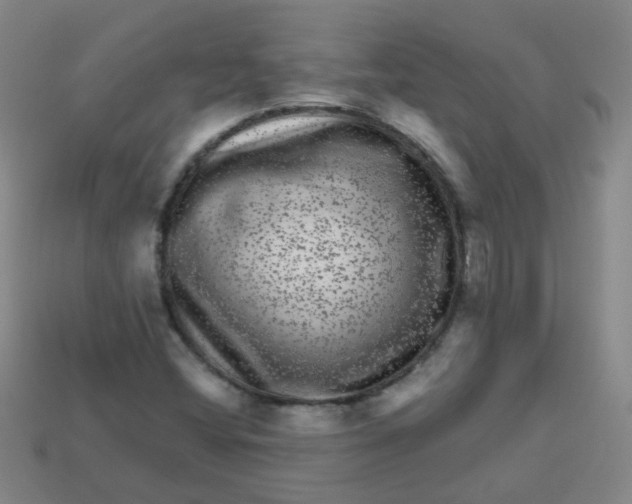 X0000113881404200910151303