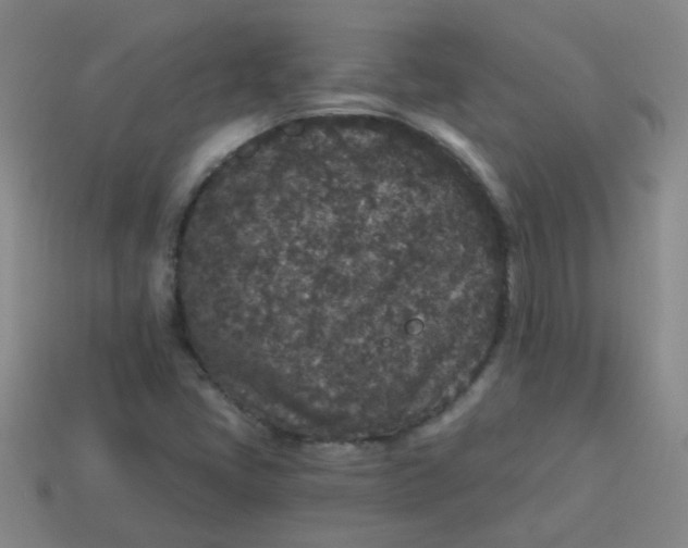 X0000113881405200910151303