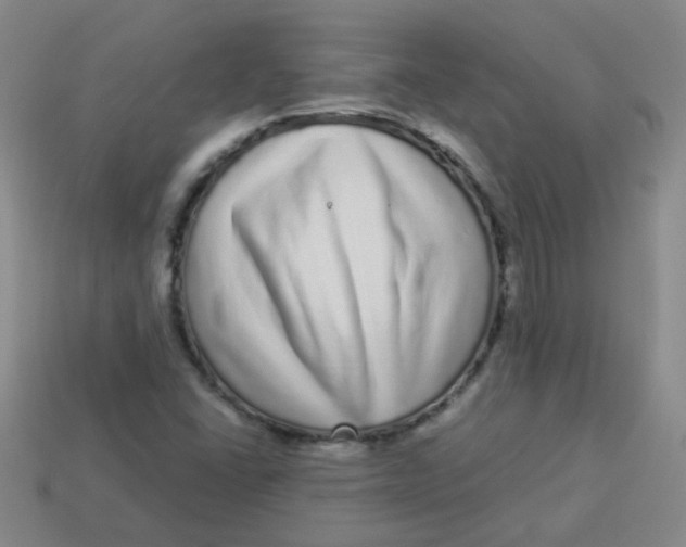 X0000113881406200910151303