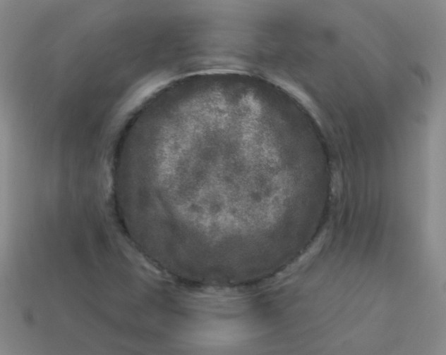 X0000113881407200910151303