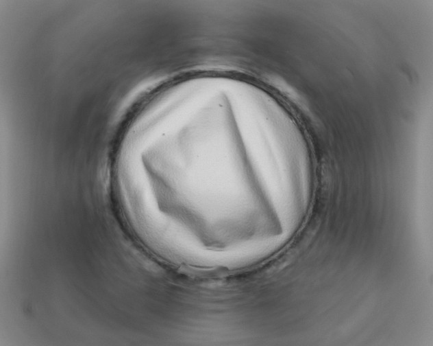 X0000113881408200910151303