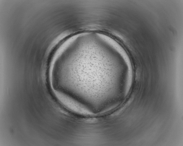 X0000113881410200910151303