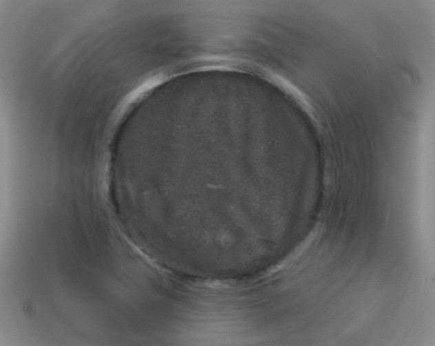 X0000113881411200910151303