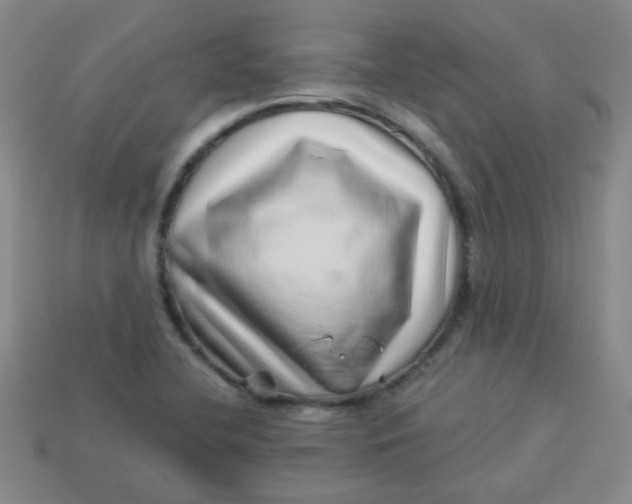 X0000113881412200910151303