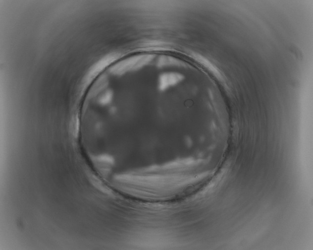 X0000113881413200910151303