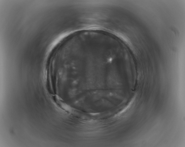 X0000113881414200910151303