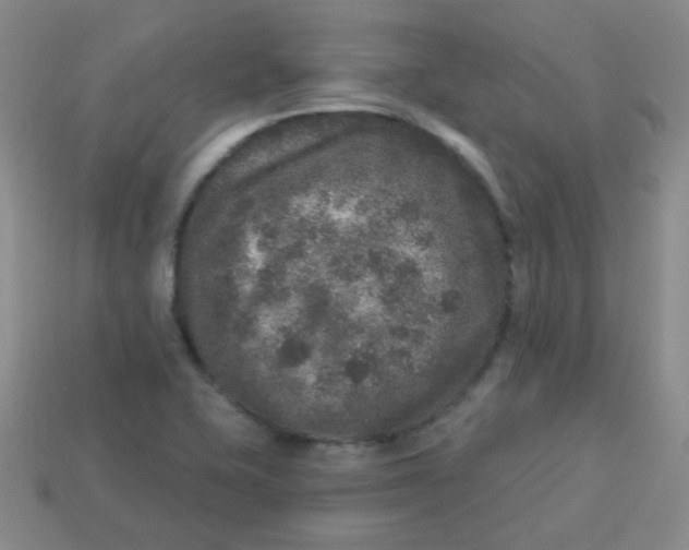 X0000113881415200910151303