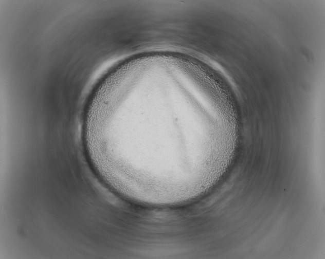 X0000113881416200910151303