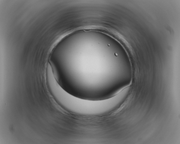 X0000113881417200910151303