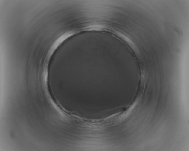 X0000113881418200910151303