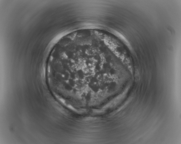 X0000113881419200910151303