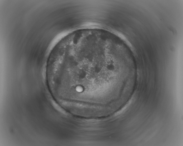 X0000113881421200910151303