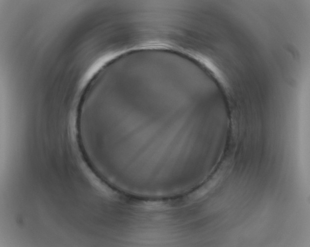 X0000113881422200910151303