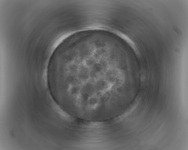 X0000113881423200910151303