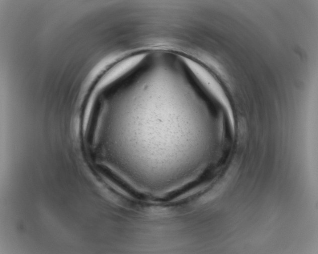 X0000113881424200910151303