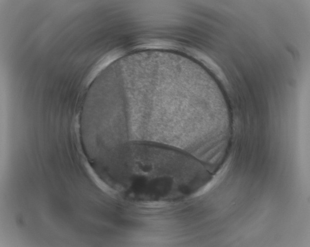 X0000113881425200910151303