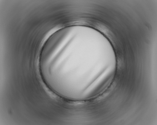 X0000113881426200910151303