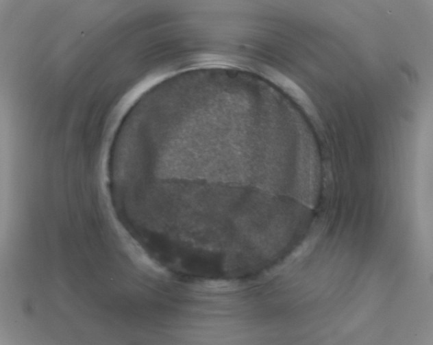 X0000113881427200910151303