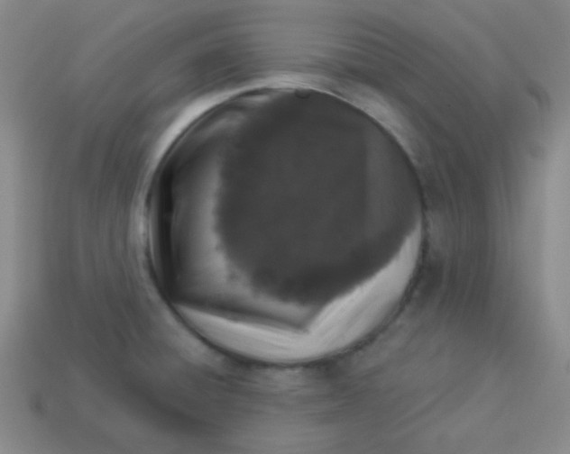 X0000113881428200910151303