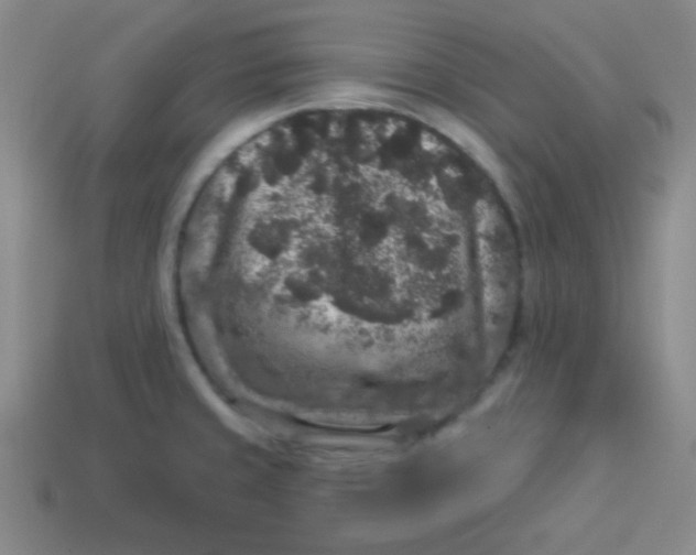 X0000113881429200910151303