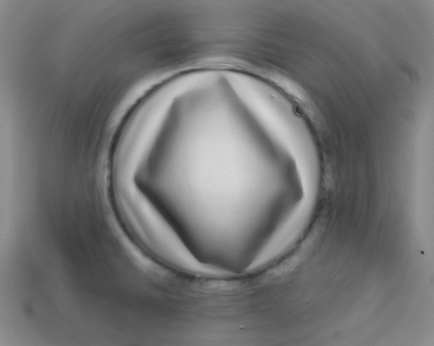 X0000113881430200910151303