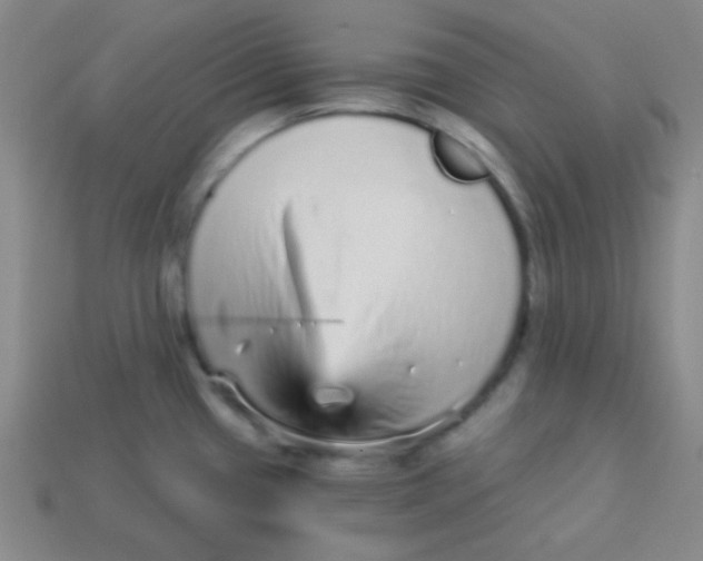 X0000113881433200910151303