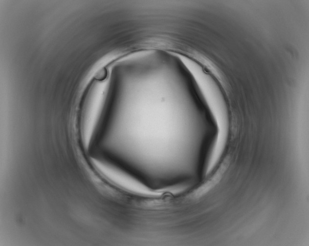 X0000113881434200910151303