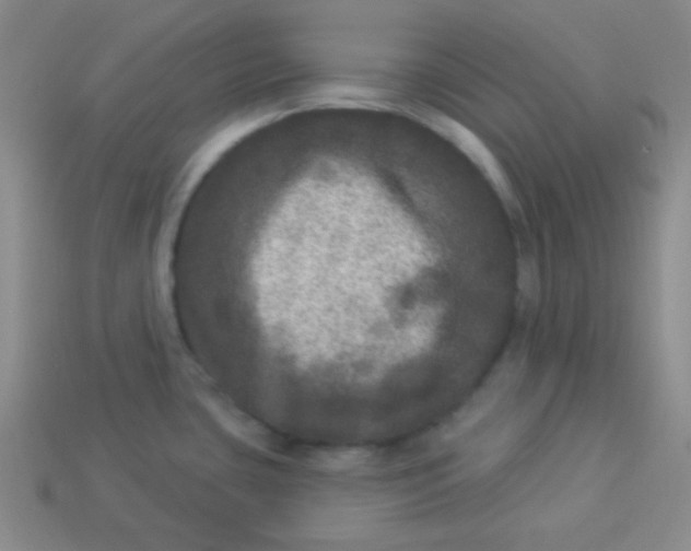 X0000113881435200910151303