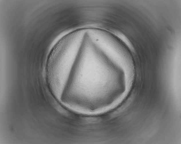 X0000113881436200910151303