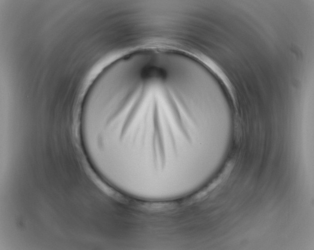 X0000113881437200910151303