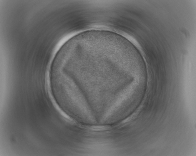 X0000113881440200910151303