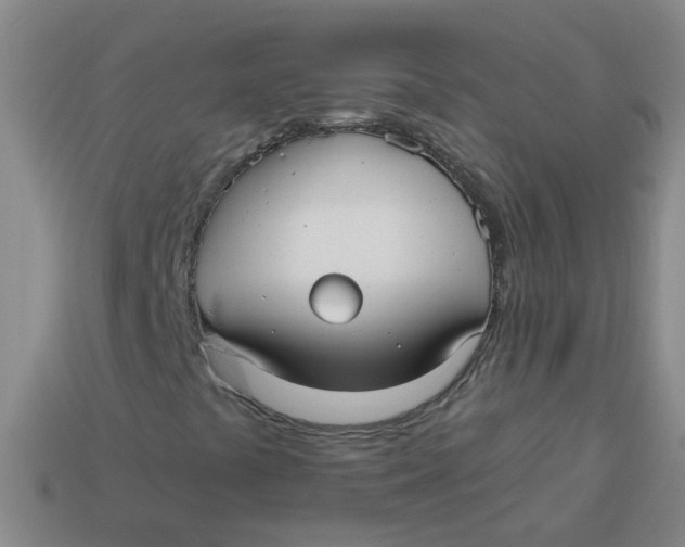 X0000113881441200910151302