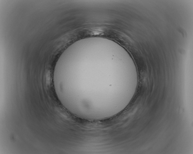 X0000113881442200910151302